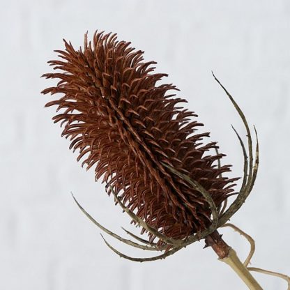 Mooie Decotak kunstbloem Distel 110cm - Afbeelding 2