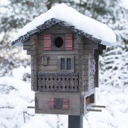 Multihok Mountain. Voerhuis en vogelhuisje in 1 !! - Afbeelding 4